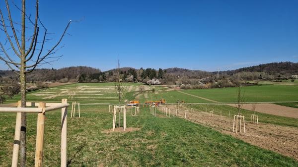 Das Bild zeigt eine Landschaft mit Bäumen, Gras und blauem Himmel