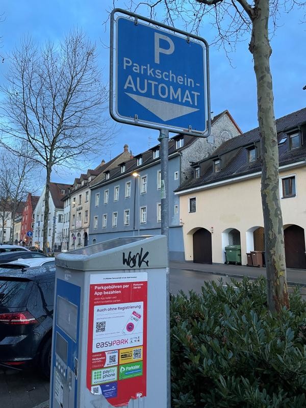 Auf dem Bild ist im Vordergrund ein Parkscheinautomat abgebildet. Dahinter befindet sich ein Auto, ein Busch und im Hintergrund eine Straße mit mehreren Häusern.