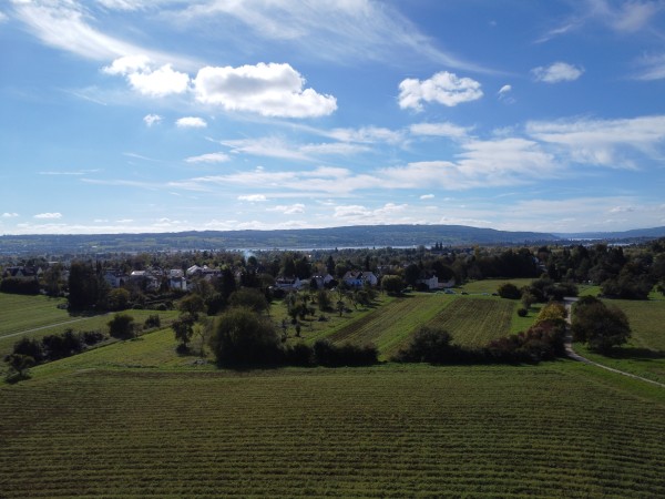 Landschaft von oben, unten grün und Bäume oben blauer Himmel mit Wolken