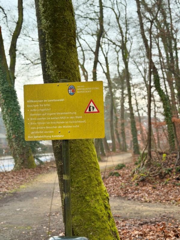 Bemooster Baumstamm, an dem ein gelbes Schild angebracht ist. Im Hintergrund ein Waldweg
