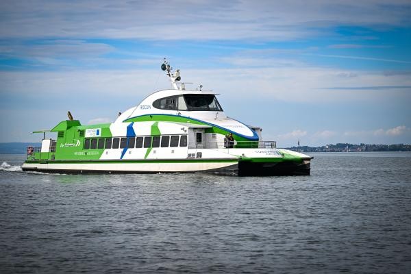 Grün-weißer Katamaran auf dem See