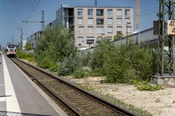 einfahrender Zug am Bahnsteig