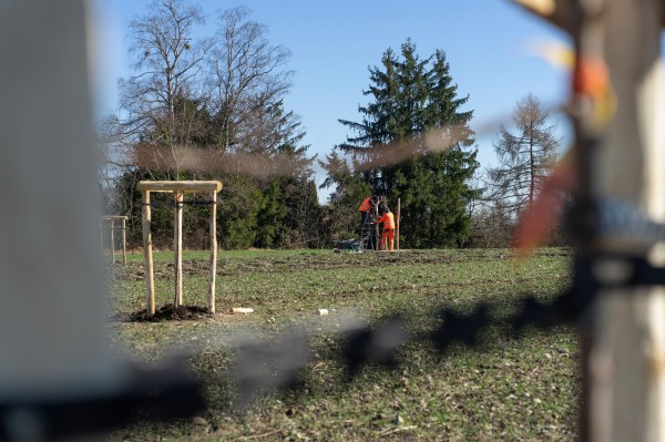 Copyright Stadt Konstanz Auf einer Wiese pflanzen zwei Personen in orangefarbener Arbeitskleidung einen jungen Baum. Im Vordergrund sind weitere frisch gepflanzte Bäume und etwas Werkzeug zu sehen. Im Hintergrund stehen hohe, grüne und kahle Bäume unter blauem Himmel.