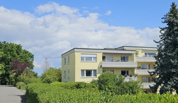 Hellgelbes Flachdachgebäude mit grünen Hecken im Vordergrund