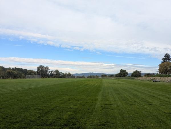 Neu angelegter Sportplatz in Dingelsdorf im Gewann Höllbart: Weitläufiger, frisch gemähter Rasenplatz, umgeben von einem Ballfangzaun, Bäumen und einer Hügelkette im Hintergrund unter leicht bewölktem Himmel.