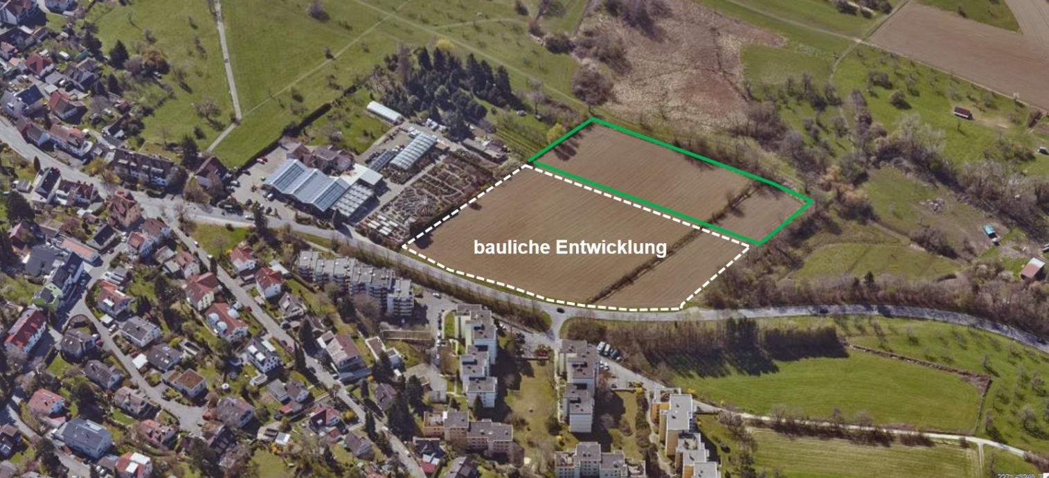 Luftbild "Jungerhalde-West" "Jungerhalde-West"