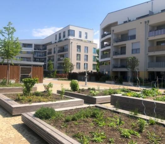 Moderne Mehrfamilien-Wohnhäuser; im Vordergrund grün bepflanzte, erhöhte Beete mit Wegen dazwischen
