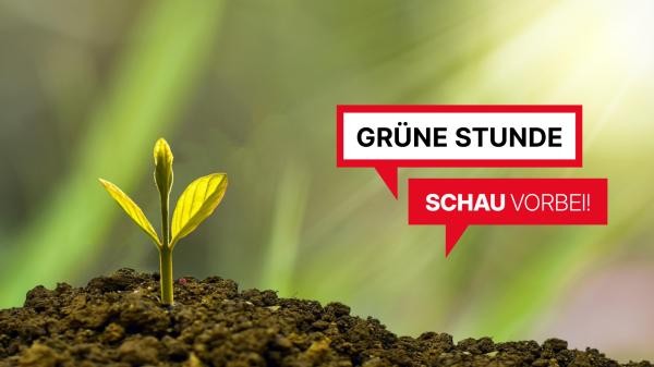 Schriftzug Grüne Stunde Schau vorbei! dahinter Foto von einem Keimling im Licht.