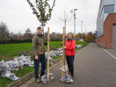 Ein Mann und eine Frau halten jeder einen jungen Baum und einen Holzpfahl im Arm