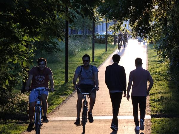 Das Bild zeigt einen von Bäumen gesäumten Geh- und Radweg bei Sonnenuntergang. Menschen gehen zu Fuß oder fahren mit dem Fahrrad in beide Richtungen. Die Lichtstimmung ist warm und schafft eine angenehme Atmosphäre im Grünen.