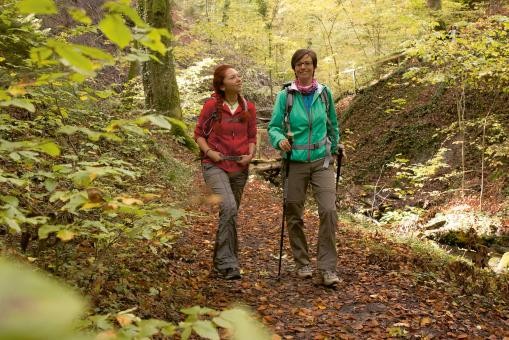 Lorettowald-Wanderung zum Klimawandel mit der Försterin Lorettowald-Wanderung zum Klimawandel mit der Försterin