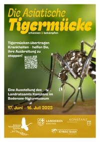 Die Asiatische Tigermücke - erkennen & bekämpfen 