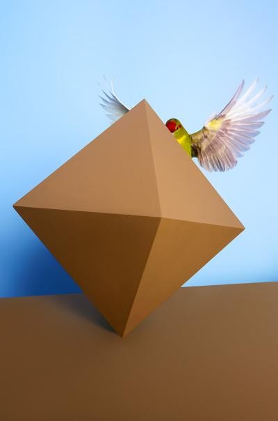 Kristin Schnell, o.N.