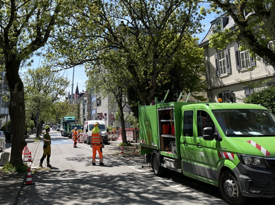 TBK und Bäume - ein gutes Team 