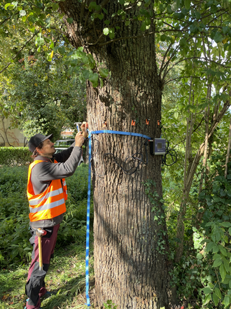 Ein Mitarbeiter führt eine Schalltomografie durch