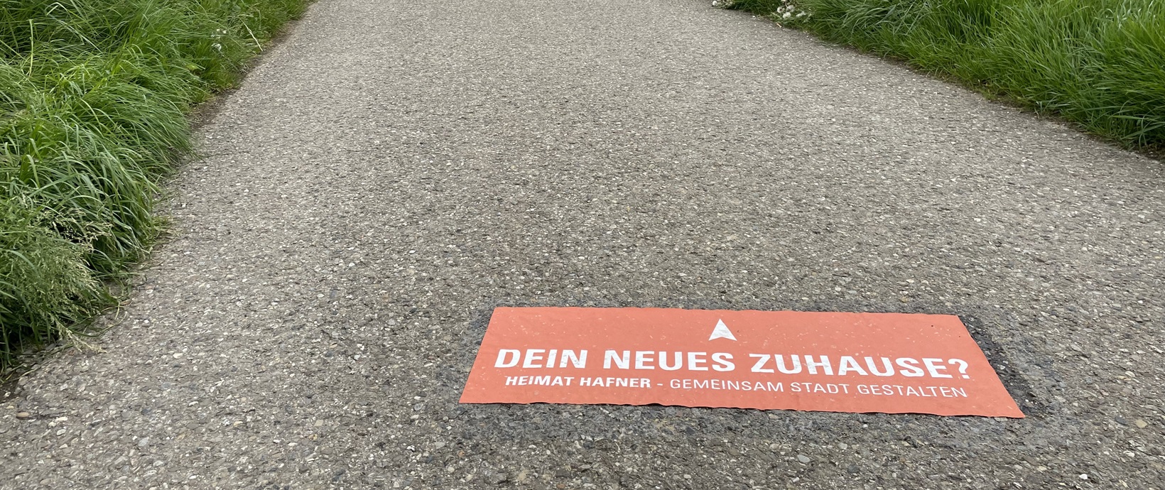 Orange Markierung mit dem Text "Dein neues Zuhause?" auf einem geteerten Weg mit Grün links und rechts des Weges