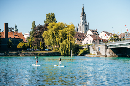 Ansicht auf Rheinbrücke und Münster