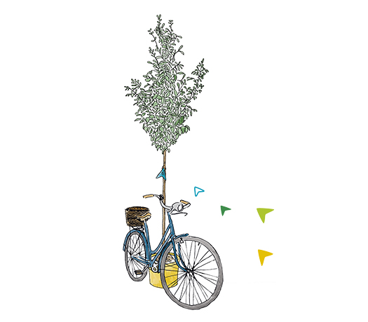 Zeichnung von einem jungen Baum, an dem ein Fahrrad lehnt