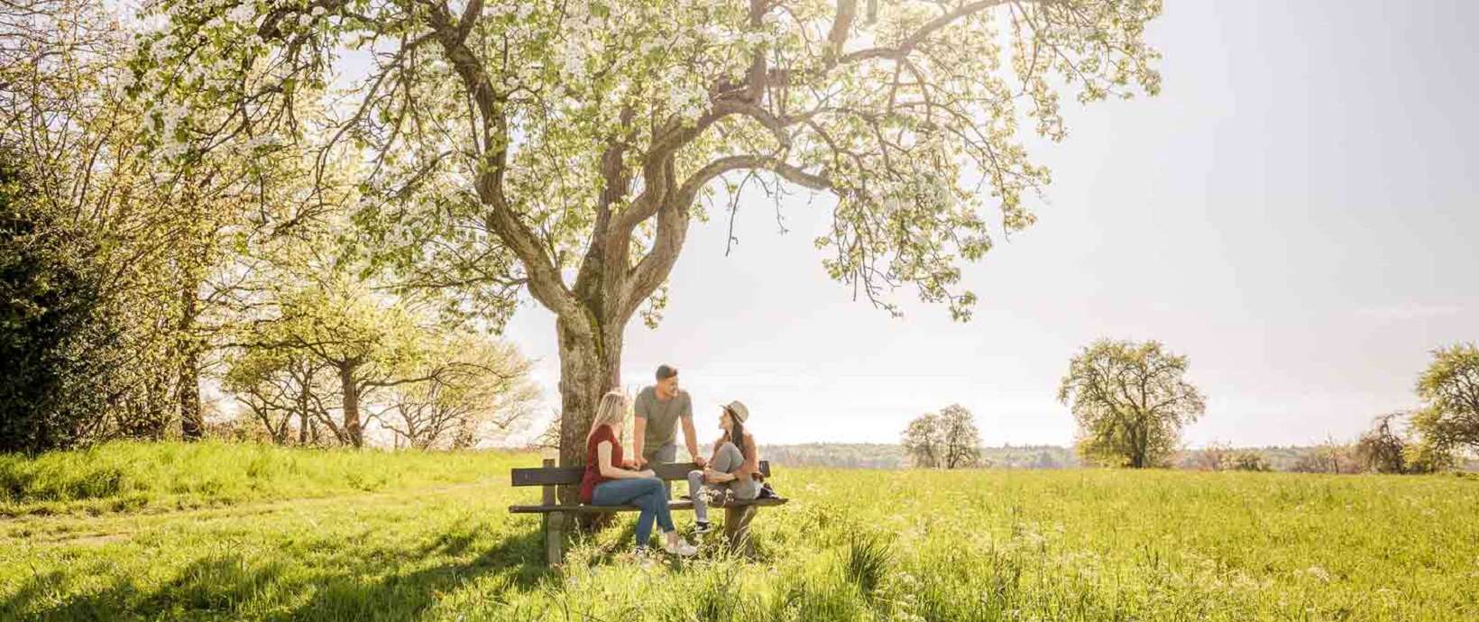 Drei Personen sitzen auf einer Bank im Grünen unter einem blühenden Obstbaum
