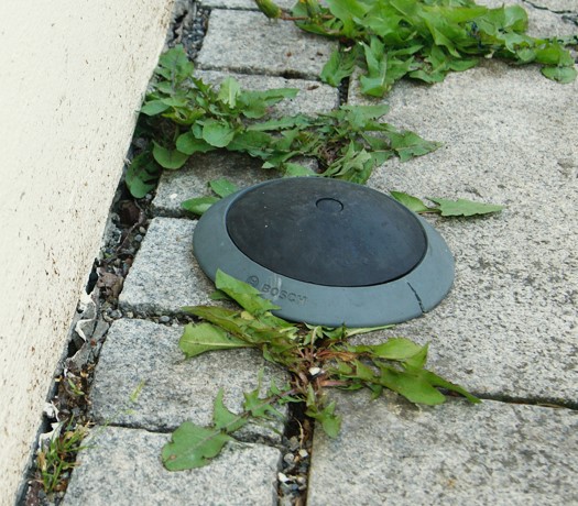 Ein Parkraumsensor zwischen Pflastersteinen und Löwenzahnpflanzen