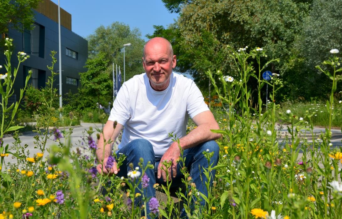 Ein Mann im weißen T-Shirt und blauer Jeans kniet zwischen Wiesenblumen und schaut in die Kamera