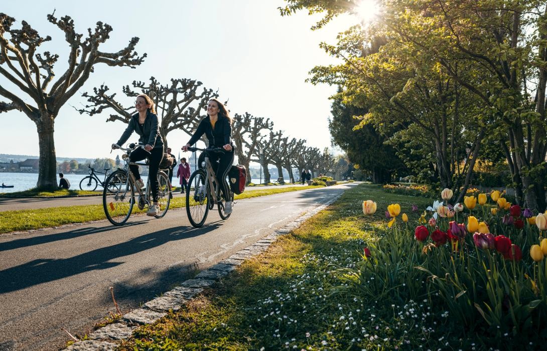 Zwei Radfahrerinnen auf einem von Bäumen und Tulpen eingefassten Radweg
