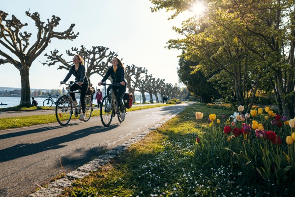 Zwei Radfahrerinnen auf einem von Bäumen und Tulpen eingefassten Radweg