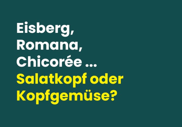 Grafik mit Text: "Eisberg, Romana, Chocorée... Salatkopf oder Kopfgemüse?"
