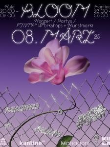 ©fineheiten Plakat BLOOM Konzert und Partys