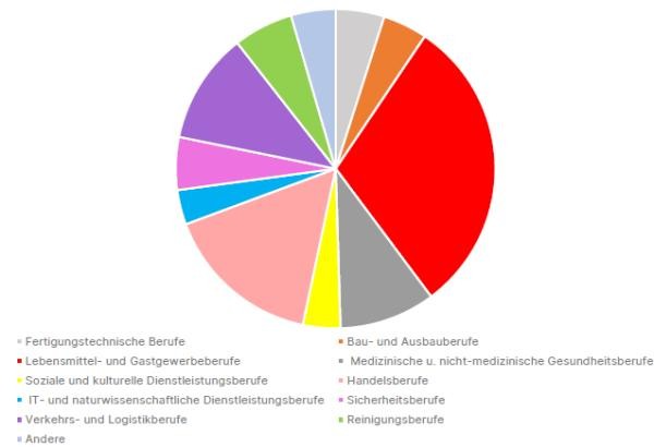 Das Tortendiagramm zeigt, in welchen Bereichen die Menschen aus den Top-8Asylherkunftsländern in Konstanz arbeiten.