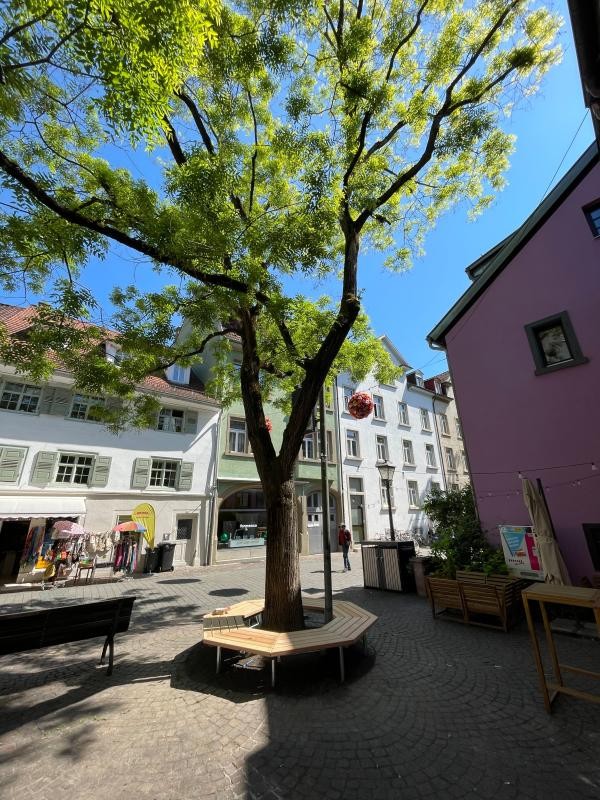Das Bild zeigt einen begrünten Innenhof mit einem großen Baum in der Mitte, umgeben von einer sechseckigen Holzbank. Im Hintergrund sind bunte Häuserfassaden und kleine Geschäfte zu sehen, bei sonnigem Wetter unter blauem Himmel.