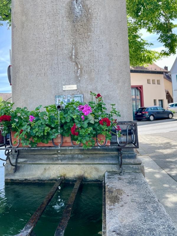 Aus dem Rohr eines Brunnens plätschert Wasser in das große Auffangbecken aus hellem Stein. Der Brunnen ist mit roten Blumen dekoriert.