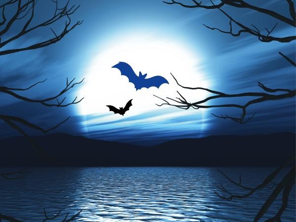 Eine Grafik mit Fledermäusen vor Mondlicht über Wasser