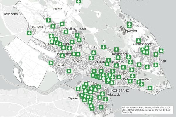 Stadt Konstanz, Weihnachtsbaum Sammelorte