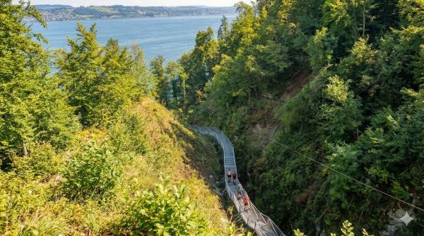 Das Foto zeigt einen Steg mit Zaun, der durch eine baumbewachsene Schlucht führt. Auf dem Steg sind Wanderer unterwegs. Im Hintergrund ist der blaue Bodensee zu sehen.