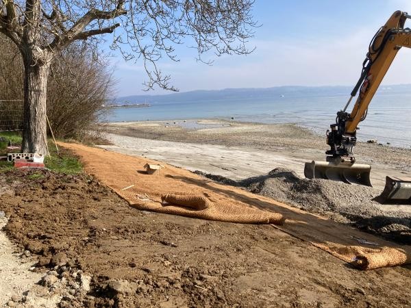 Uferbereich am Bodensee mit ausgelegten Naturmatten zur Böschungssicherung; rechts ein Bagger und Schüttmaterial, links Bäume und freier Strand im Hintergrund. Aufnahme bei klarem Tageslicht.