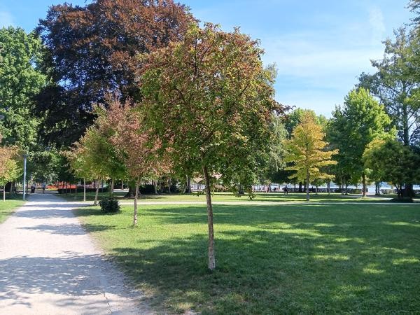 Park mit grüner Wiese, Bäumen und Kiesweg