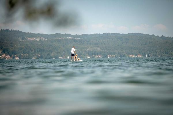 Entspannte SUP-Tour auf dem Bodensee Entspannte SUP-Tour auf dem Bodensee