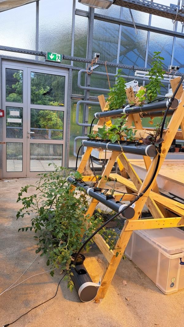 Eine Holzkonstruktion mit bepflanzten schwarzen Rohren. Vereinzelt sind Kabel zu sehen.