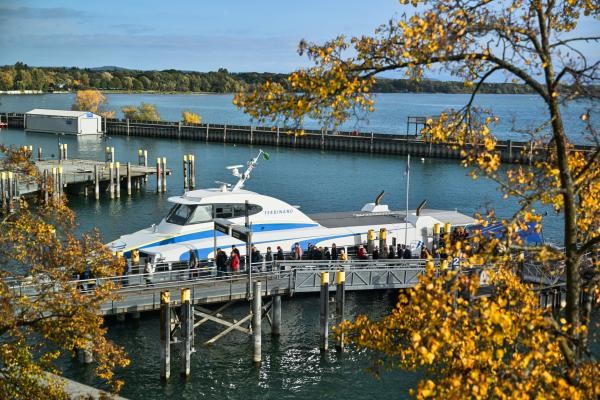 Katamaran am Anleger auf dem See; im Vordergrund goldbraun gefärbte Blätter