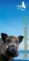 Cover Flyer Bodensee-Naturmuseum 2023