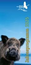 Cover Flyer Bodensee-Naturmuseum 2025