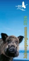 Cover Flyer Bodensee-Naturmuseum 2026