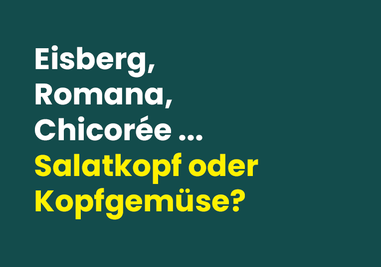 Grafik mit Text: "Eisberg, Romana, Chocorée... Salatkopf oder Kopfgemüse?"