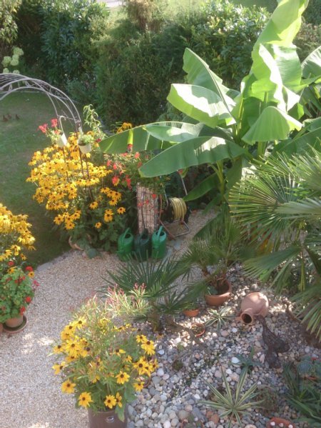 Der Reihenhausgarten im mediterranen Stil von Margret Rupp.