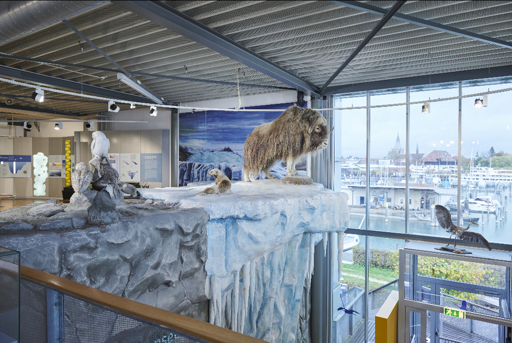 Blick in die Ausstellung © Bodensee-Naturmuseum Konstanz