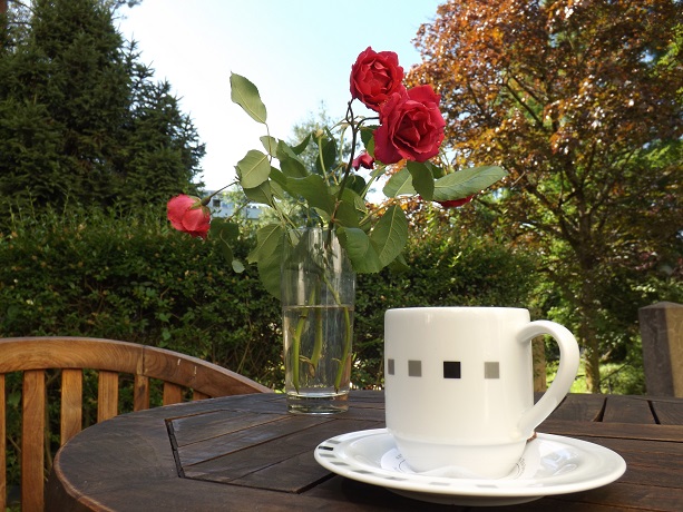 Eine Tasse Café auf der Terrasse im SeZe