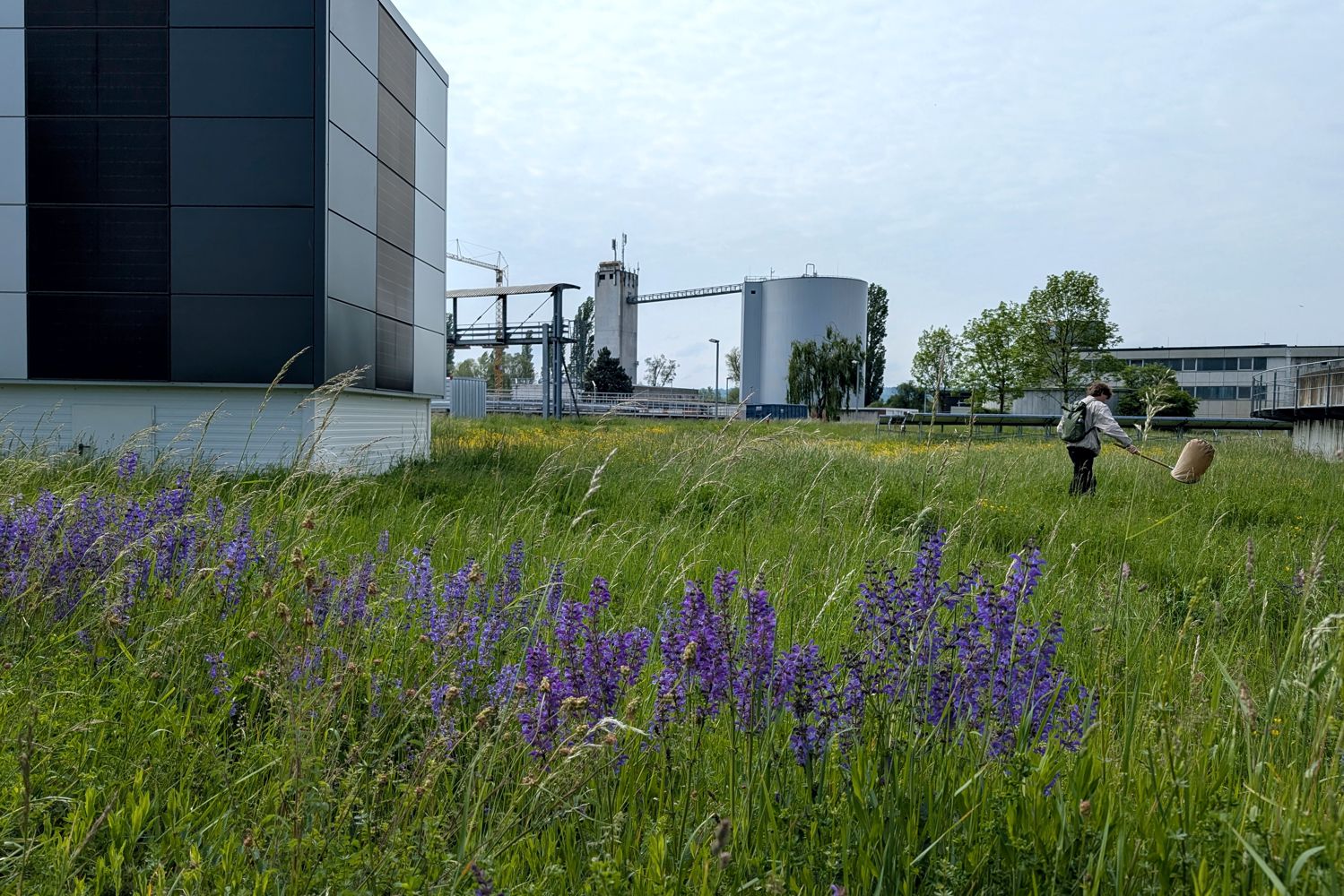 EBK Umweltbericht 2025